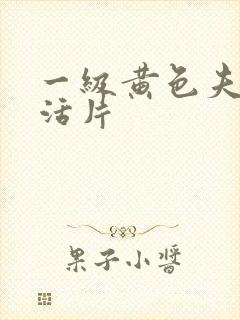 一级黄色夫妻生活片