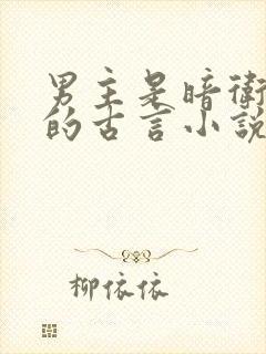 男主是暗卫死士的古言小说