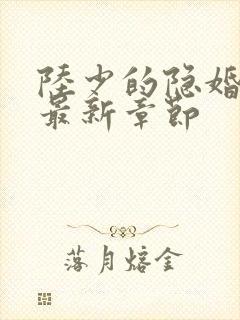 陆少的隐婚罪妻最新章节