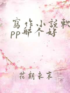 写作小说软件app哪个好