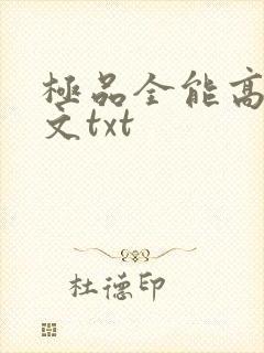 极品全能高手全文txt
