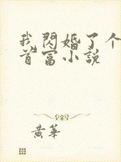 我闪婚了个帝国首富小说