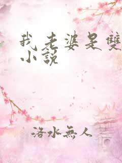 我老婆是双胞胎小说