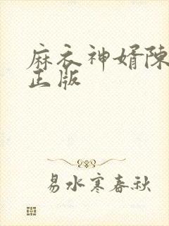 麻衣神婿陈黄皮正版