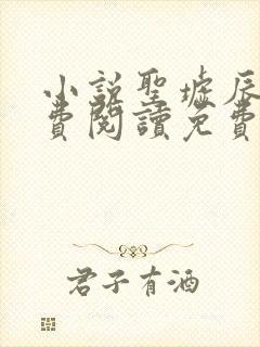 小说圣墟辰东免费阅读免费