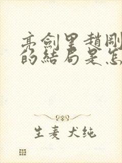 亮剑里赵刚最后的结局是怎么样的