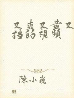 又爽又黄又无遮挡的视频