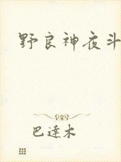野良神夜斗图片