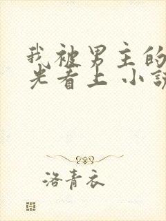 我被男主的白月光看上 小说