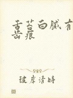 舌苔白腻有裂纹齿痕