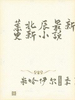 叶北辰最新章节更新小说