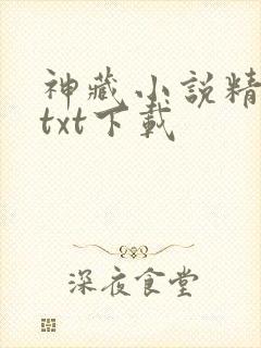 神藏小说精校版txt下载