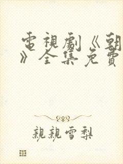 电视剧《朝雪录》全集免费观看