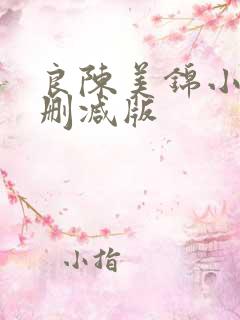 良陈美锦小说未删减版