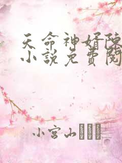 天命神婿陈黄皮小说免费阅读