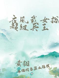 夜风武女总裁的超级兵王