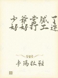 少爷当腻了只想好好打工连续剧