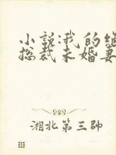 小说:我的绝色总裁未婚妻