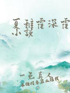 夏稚霍深霍栖野小说