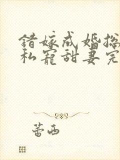 错嫁成婚总裁的私宠甜妻完整版