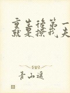 重生后第一件事就是撩我夫君