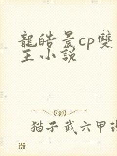 龙皓晨cp双男主小说