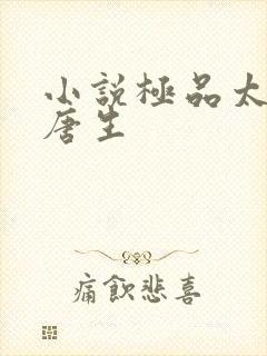 小说极品太子爷唐生