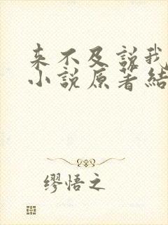 来不及说我爱你小说原著结局