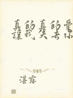 真的真的爱你别让我失去你是什么歌