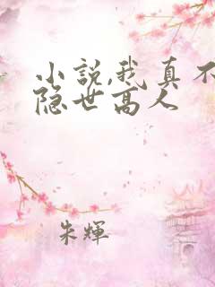 小说,我真不是隐世高人