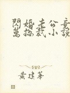 闪婚老公竟是亿万总裁小说