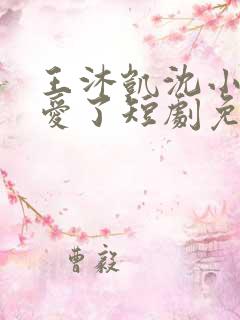 王沐凯沈小姐不爱了短剧免费播放