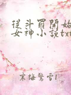 从斗罗开始俘获女神小说txt下载