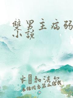 双男主病弱生子小说