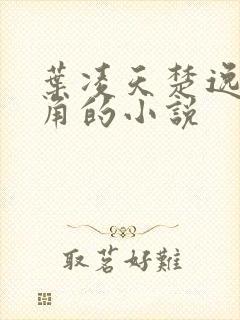 叶凌天楚逸然主角的小说