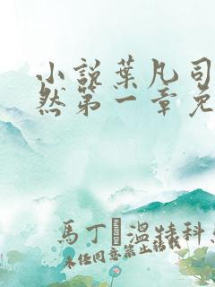 小说叶凡司空嫣然第一章免费阅读