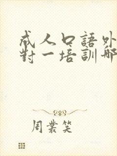 成人口语外教一对一培训哪个好