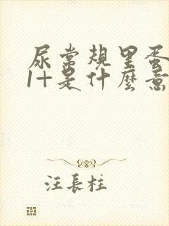 尿常规里蛋白质1+是什么意思