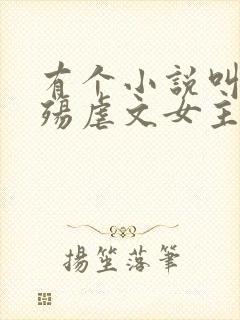 有个小说叫什么殇虐文女主