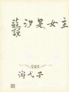 苏汐是女主的小说