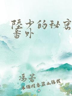 陆少的秘密恋人番外
