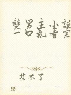 双男主小说推文一口气看完已完结