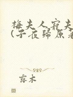 梅夫人宠夫日常(子夜归原著小说)