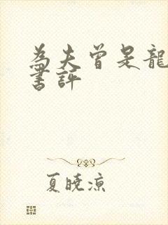 为夫曾是龙傲天书评