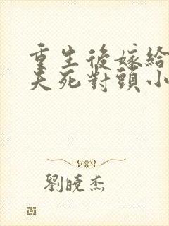 重生后嫁给了前夫死对头小说