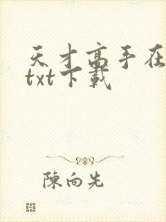 天才高手在都市txt下载