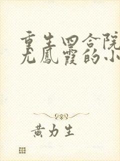 重生四合院女主尤凤霞的小说