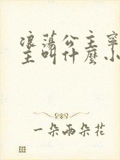 浪荡公主宁初女主叫什么小说名字