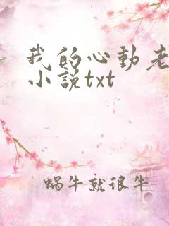 我的心动老板娘小说txt