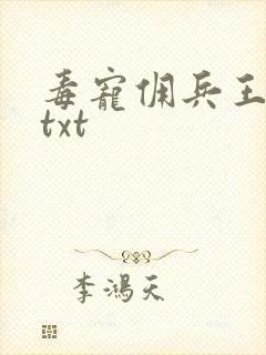 毒宠佣兵王妃 txt
